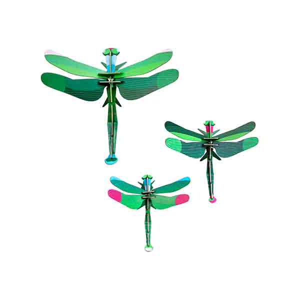 Big Insects Dragonflies