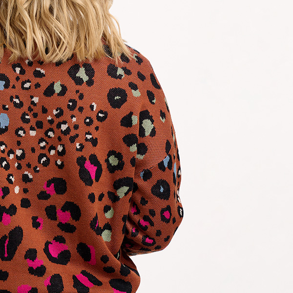 Andi Jumper Rainbow Leopard