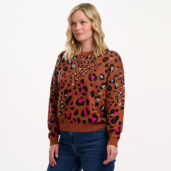 Andi Jumper Rainbow Leopard