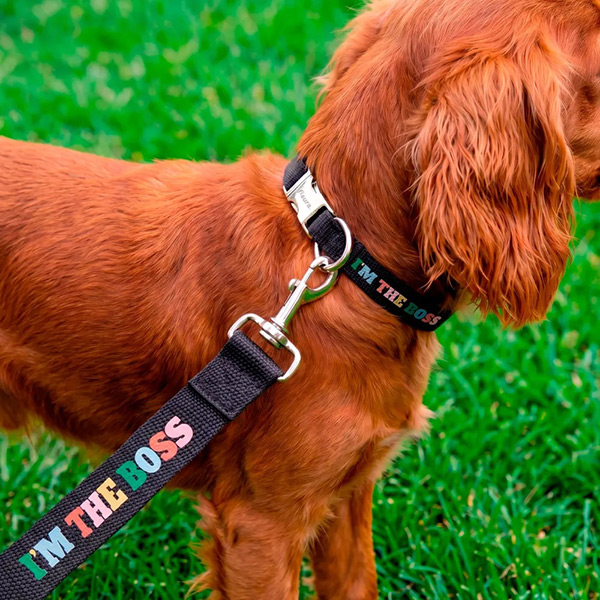 Pack Collar Correa I'm the boss Talla S