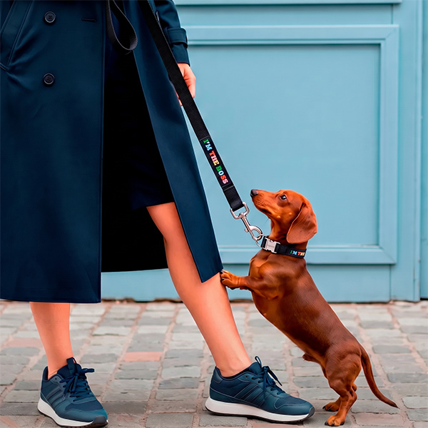 Pack Collar Correa I'm the boss Talla S
